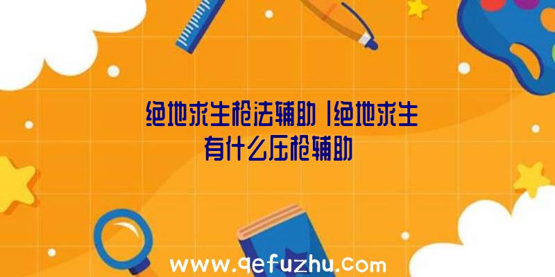 「绝地求生枪法辅助」|绝地求生有什么压枪辅助